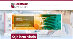 Desktop Screenshot of laboratoriosandrini.com.br