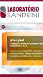 Mobile Screenshot of laboratoriosandrini.com.br