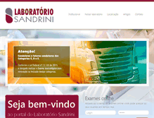 Tablet Screenshot of laboratoriosandrini.com.br